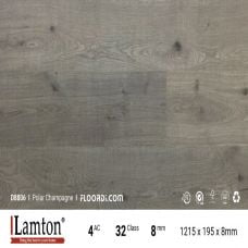 Sàn gỗ Lamton 8mm - D8806