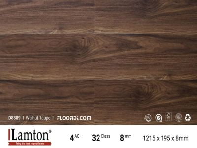 Sàn gỗ Lamton 8mm - D8809